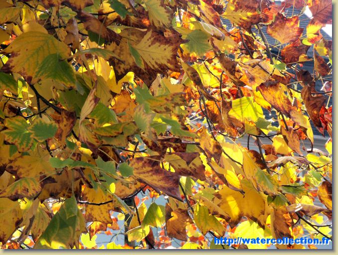 Diapositive suivante